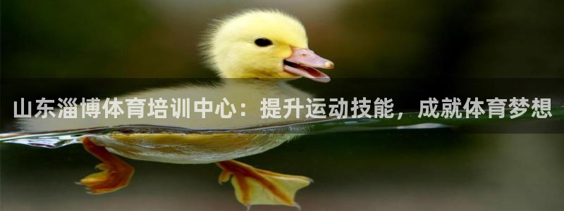 欧陆娱乐能赚钱吗知乎：山东淄博体育培训中心：提升运动
