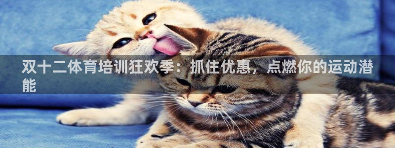 欧陆娱乐怎么注册账号登录：双十二体育培训狂欢季：抓住