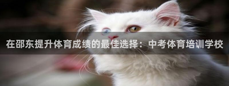 欧陆娱乐脚本下载