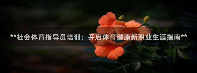 欧陆娱乐挂机项目怎么设置