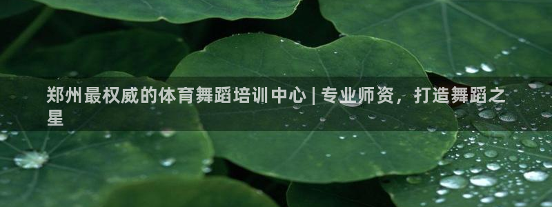 欧陆官方网站：郑州最权威的体育舞蹈培训中心 | 专业