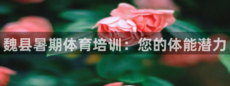 欧陆娱乐脚本怎么下载：魏县暑期体育培训：您的体能潜力