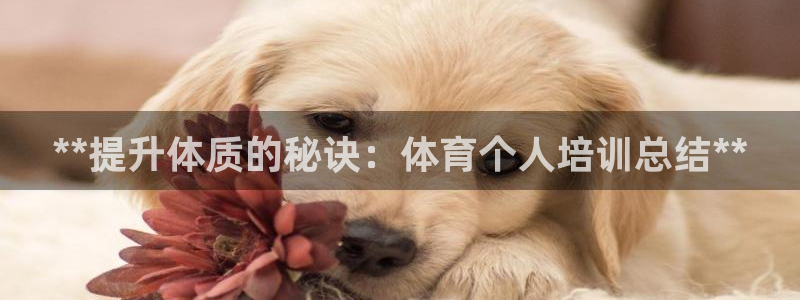 欧陆娱乐测试：**提升体质的秘诀：体育个人培训总结*