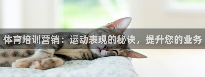 欧陆娱乐登录测速怎么关闭