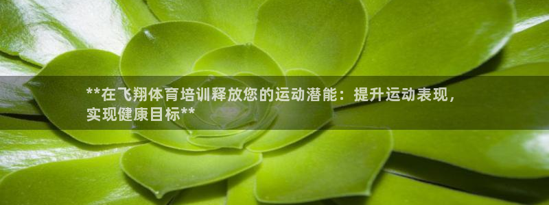 欧陆娱乐登陆平台下载：**在飞翔体育培训释放您的运动