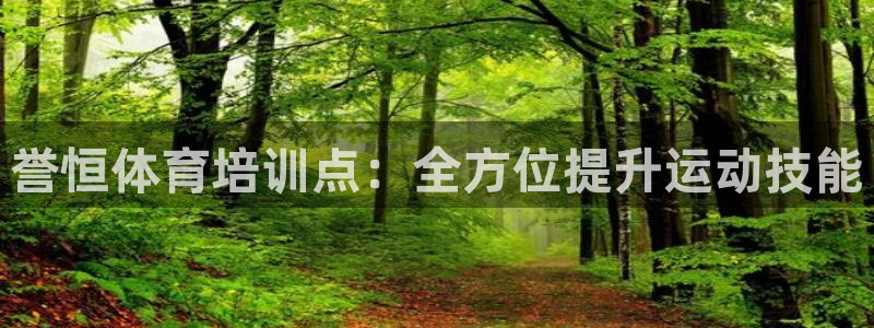 欧陆娱乐是正规平台吗安全吗可靠吗：誉恒体育培训点：全
