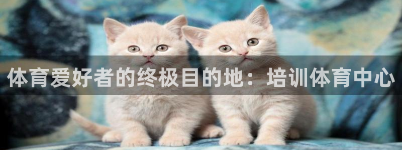欧陆娱乐平台登录：体育爱好者的终极目的地：培训体育中