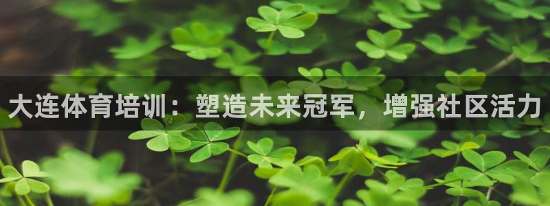 欧陆娱乐登录测速软件：大连体育培训：塑造未来冠军，增