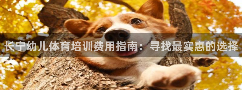 欧陆娱乐公司产品介绍图片：长宁幼儿体育培训费用指南：