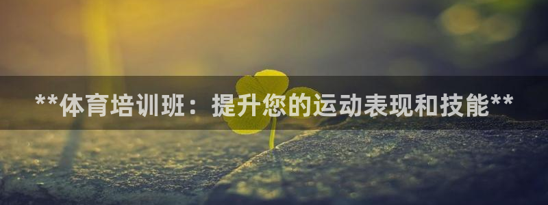 欧陆娱乐是什么：**体育培训班：提升您的运动表现和技