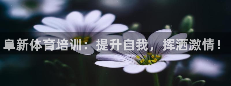 重庆欧陆娱乐有限公司地址：阜新体育培训：提升自我，挥