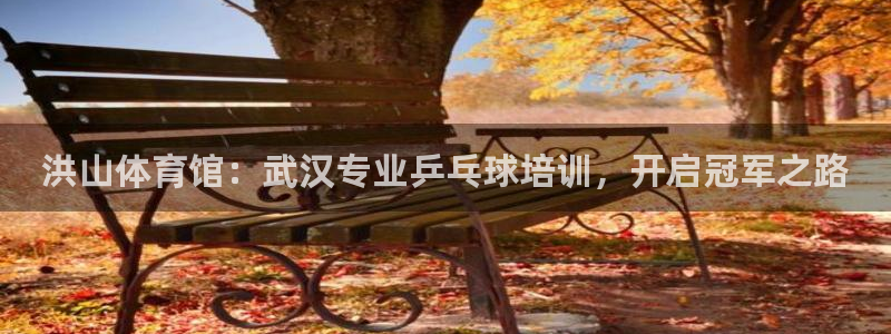 欧陆娱乐官网下载安装手机版：洪山体育馆：武汉专业乒乓