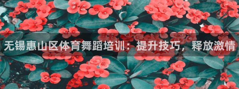 欧陆娱乐群里怎么进：无锡惠山区体育舞蹈培训：提升技巧