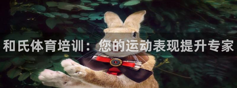 欧陆娱乐群里怎么进：和氏体育培训：您的运动表现提升专