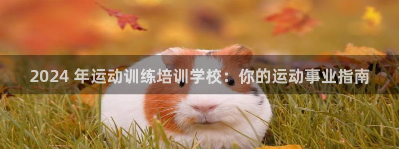 欧陆娱乐登陆官网下载：2024 年运动训练培训学校：