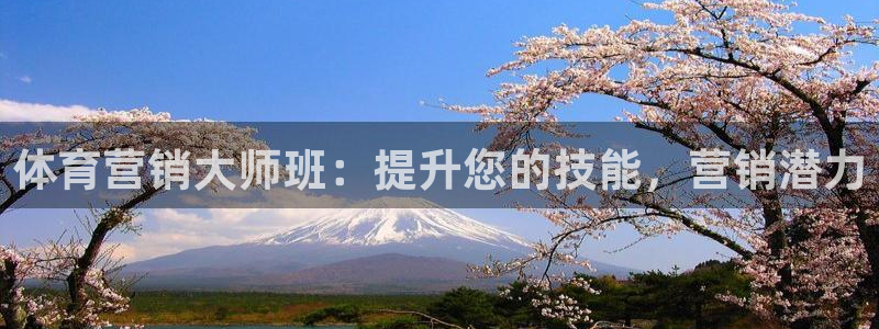 欧陆娱乐登陆平台：体育营销大师班：提升您的技能，营销
