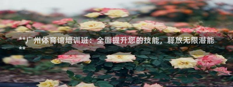 欧陆娱乐挂机怎么玩的：**广州体育馆培训班：全面提升