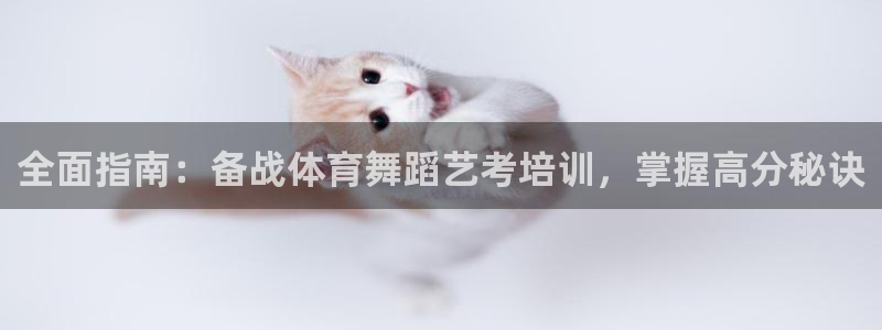 欧陆娱乐公司产品介绍怎么写：全面指南：备战体育舞蹈艺