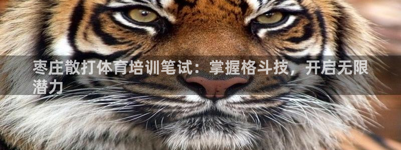 欧陆娱乐平台登录不上去怎么办：枣庄散打体育培训笔试：