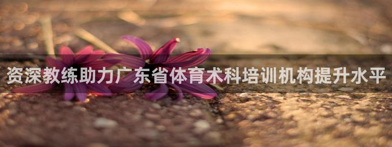 欧陆娱乐登录测速怎么关闭：资深教练助力广东省体育术科