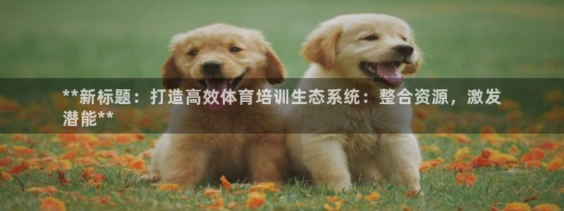 欧陆娱乐脚本：**新标题：打造高效体育培训生态系统：