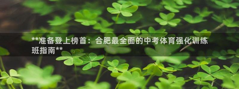 欧陆娱乐挂机怎么玩的：**准备登上榜首：合肥最全面的