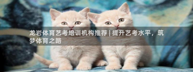 欧陆娱乐能赚钱吗现在：龙岩体育艺考培训机构推荐 | 