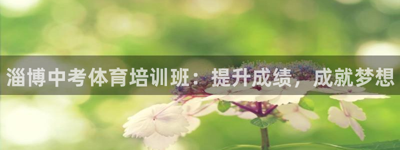 欧陆娱乐注册代理多少钱一个月：淄博中考体育培训班：提