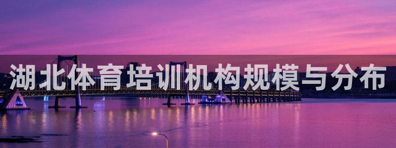 欧陆商城：湖北体育培训机构规模与分布