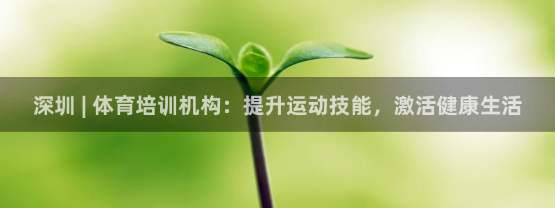 欧陆娱乐请输入USDT地址：深圳 | 体育培训机构：