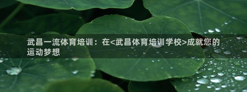 欧陆娱乐是正规平台吗安全吗：武昌一流体育培训：在<武