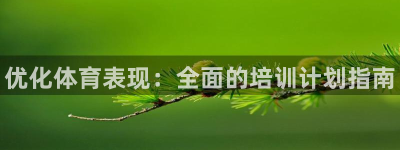 欧陆娱乐注册链接安全吗可靠吗：优化体育表现：全面的培
