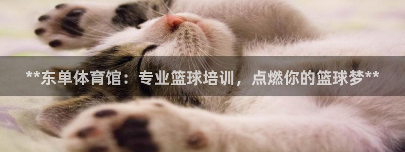 重庆欧陆娱乐有限公司地址：**东单体育馆：专业篮球培