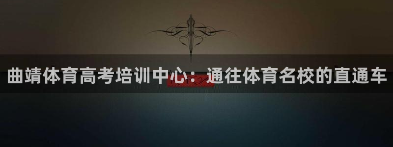 欧陆娱乐挂机怎么玩游戏：曲靖体育高考培训中心：通往体