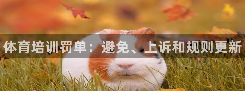 欧陆娱乐共创美好：体育培训罚单：避免、上诉和规则更新