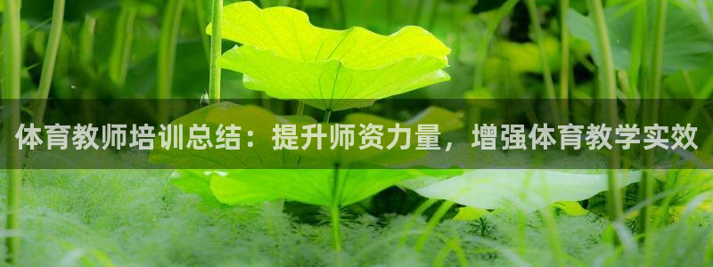 欧陆娱乐线路测速：体育教师培训总结：提升师资力量，增