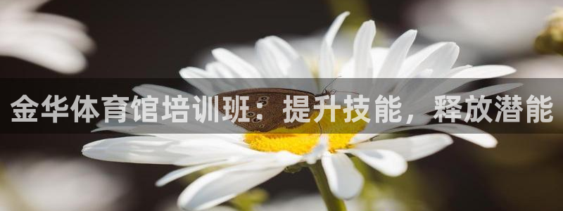 欧陆娱乐天富主管：金华体育馆培训班：提升技能，释放潜