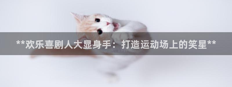欧陆娱乐有限公司官网：**欢乐喜剧人大显身手：打造运