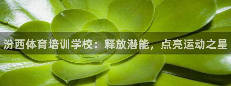 欧陆娱乐是正规平台吗安全吗知乎推荐：汾西体育培训学校
