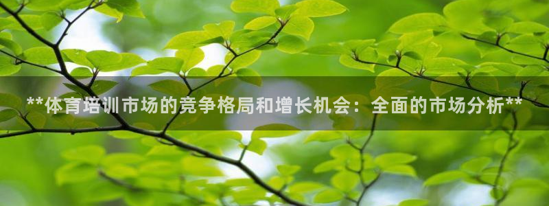 欧陆娱乐登录注册平台下载：**体育培训市场的竞争格局