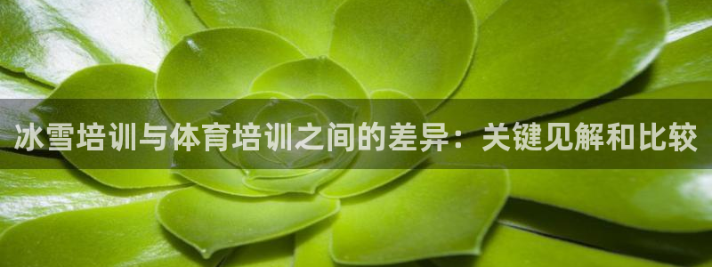 欧陆娱乐官网网址是多少：冰雪培训与体育培训之间的差异