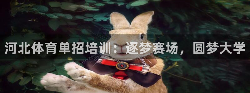 欧陆娱乐有限公司怎么样：河北体育单招培训：逐梦赛场，