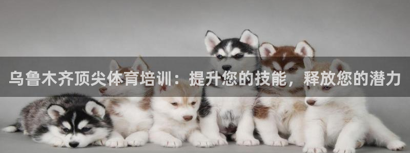 欧陆娱乐登录注册平台有哪些：乌鲁木齐顶尖体育培训：提