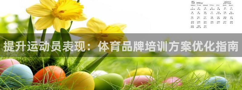欧陆娱乐注册代理：提升运动员表现：体育品牌培训方案优化指南