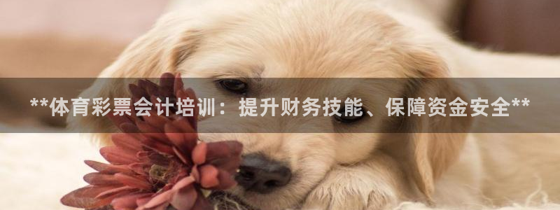 欧陆娱乐代理 贴吧：**体育彩票会计培训：提升财务技