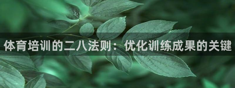 欧陆娱乐登陆官网入口：体育培训的二八法则：优化训练成