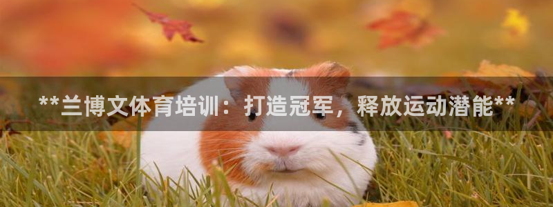欧陆娱乐登录官网：**兰博文体育培训：打造冠军，释放