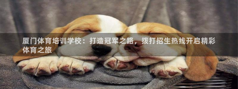 欧陆娱乐合法吗?：厦门体育培训学校：打造冠军之路，拨