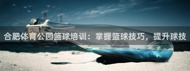 欧陆娱乐公司产品介绍图片：合肥体育公园篮球培训：掌握篮球技巧