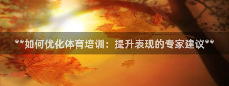 欧陆娱乐挂机项目怎么设置：**如何优化体育培训：提升